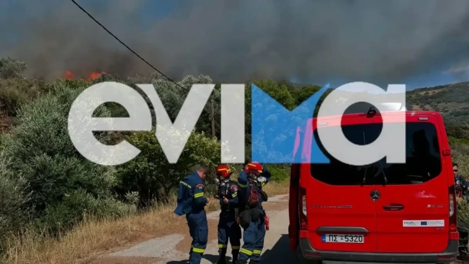 Φωτιά στα Εύβοια: Καίγεται δάσος κοντά στα Μεσοχώρια – Ήχησε το 112 και συνδρομή από εναέρια μέσα