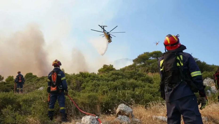 Φωτιά στη Βοιωτία: Καίγεται δάσος ανάμεσα σε Τσουκαλάδες και Άγιο Βλάσιο - Ενισχύθηκαν οι δυνάμεις