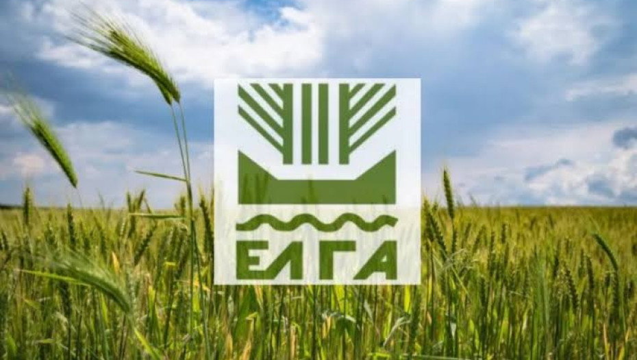 Ο ΕΛΓΑ ξεκίνησε ήδη την καταγραφή ζημιών στις πληγείσες καλλιέργειες Θεσσαλίας και Στερεάς Ελλάδας.