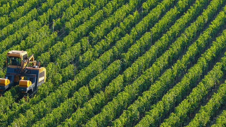 Νέα ΚΑΠ 2028-2034- Ισχυρή χρηματοδότηση, ευελιξία και στήριξη της ελληνικής παραγωγής στο επίκεντρο του Εθνικού Διαλόγου