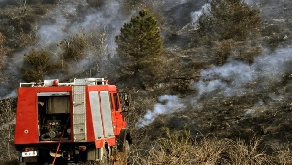Πυρκαγιά στη Βρία Κατερίνης: Στη μάχη της πυρόσβεσης δύο αεροσκάφη και ένα ελικόπτερο