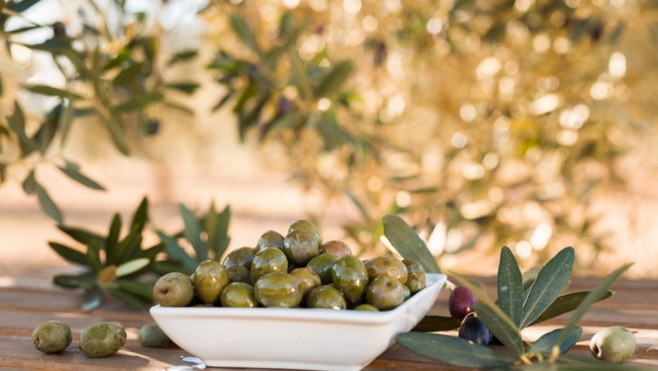 Παράταση εφαρμογής της υποχρεωτικής δήλωσης συγκομιδής ελαιοκάρπου