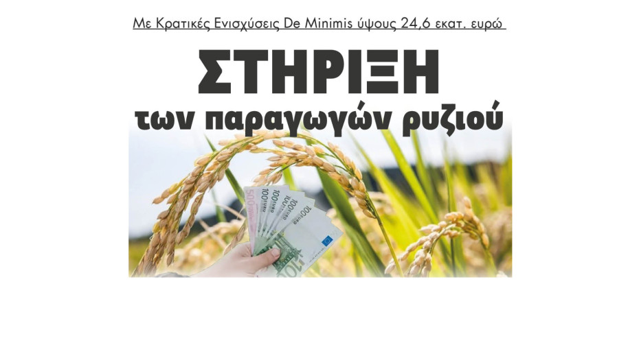 Στήριξη των παραγωγών ρυζιού με Κρατικές Ενισχύσεις De Minimis ύψους 24,6 εκατ. ευρώ