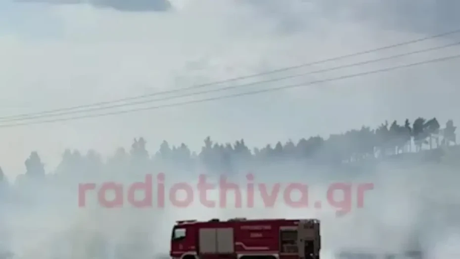 Φωτιά στη Θήβα: Σηκώθηκαν 2 αεροσκάφη και 1 ελικόπτερο