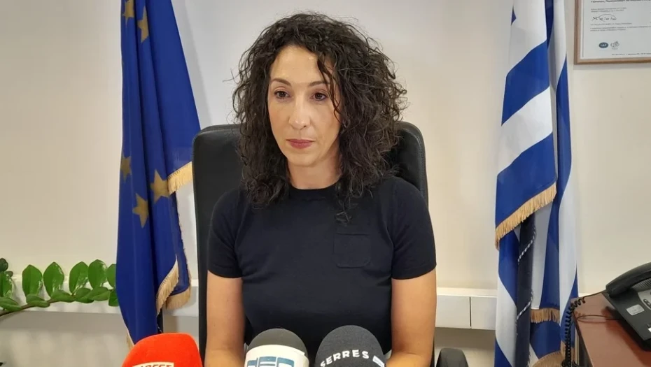 Δέσποινα Χατζηγαβριήλ: Η μελέτη των έργων υποδομής του ανοικτού Προπονητηρίου, στην οποία πράγματι συμμετείχα, προσφέρθηκε ως δωρεά στον Δήμο Σερρών, χωρίς κανένα αντάλλαγμα.