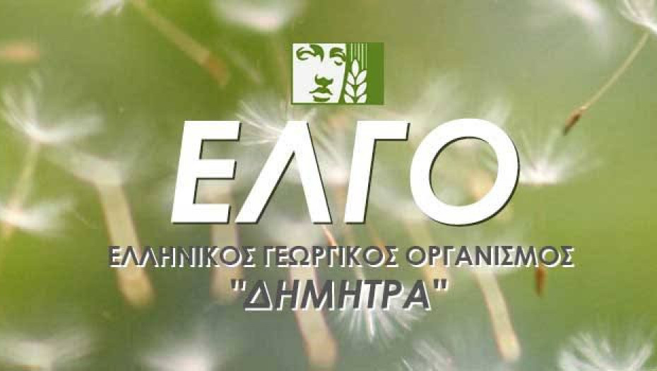 ΠΟΓΕΔΥ: «Για όσους διοικούν, επιπλέον ημέρες μετακίνησης με υπουργικές υπογραφές»