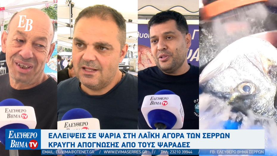 Σέρρες: Η απεργία των ψαράδων φέρνει ελλείψεις σε ψαράδικα και λαϊκή αγορά