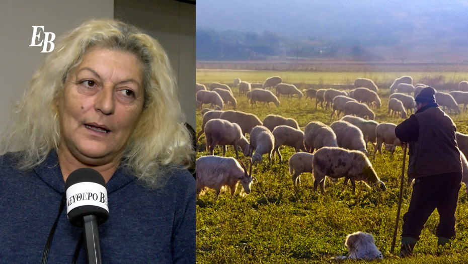 Ελπίδα Σιδηροπούλου: "Τεράστια κρίση καταστροφής της ελληνικής κτηνοτροφίας και περιφέρειας"