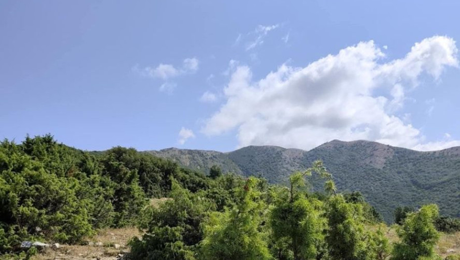 Πρωτοβουλία πολιτών και φορέων για τη Διάσωση του Μενοικίου: Καταθέσαμε έγκαιρα προσφυγή στο ΣτΕ πριν τη λήξη της προθεσμίας.