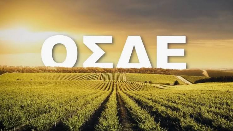 ΥΠΑΑΤ: Χωρίς πρόσθετες υποχρεώσεις για τους αγρότες το ΟΣΔΕ 2026 - Από το 2027 η υποχρεωτική εγγραφή στο ΜΑΑΕ