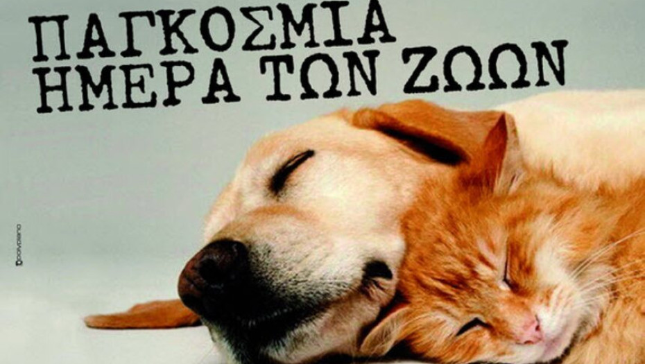 Μήνυμα Αρχηγού Ελληνικής Αστυνομίας για την Παγκόσμια Ημέρα των Ζώων