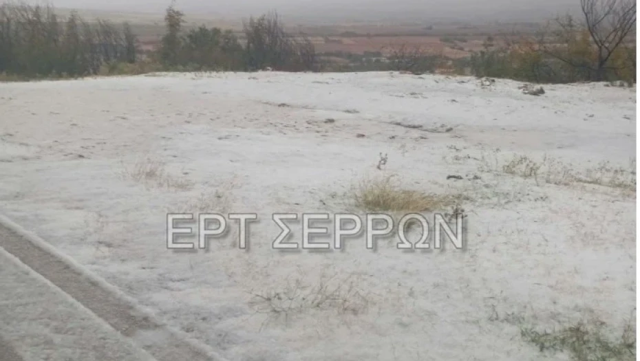 Στα «λευκά» ντύθηκε η Νέα Ζίχνη Σερρών από την έντονη χαλαζόπτωση