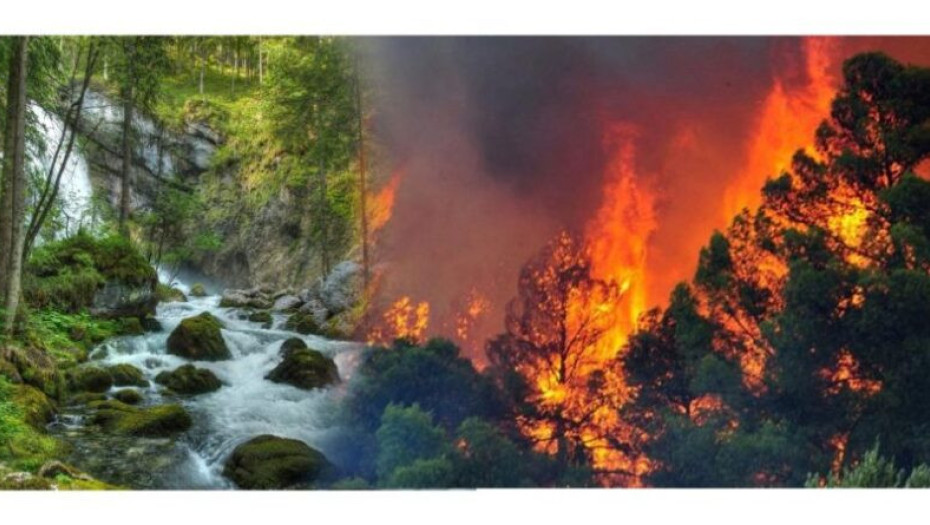 Κοιλάδα Αγίων Αναργύρων: Γλυτώσαμε τη καταστροφή!