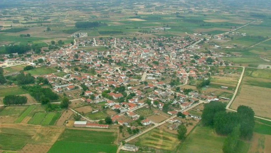 Η μάχη στο Δημητρίτσι