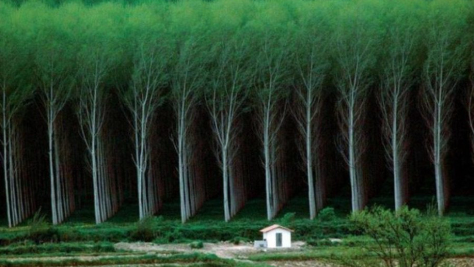 Φωτογραφίες που κάθε ψυχαναγκαστικός θα εκτιμήσει