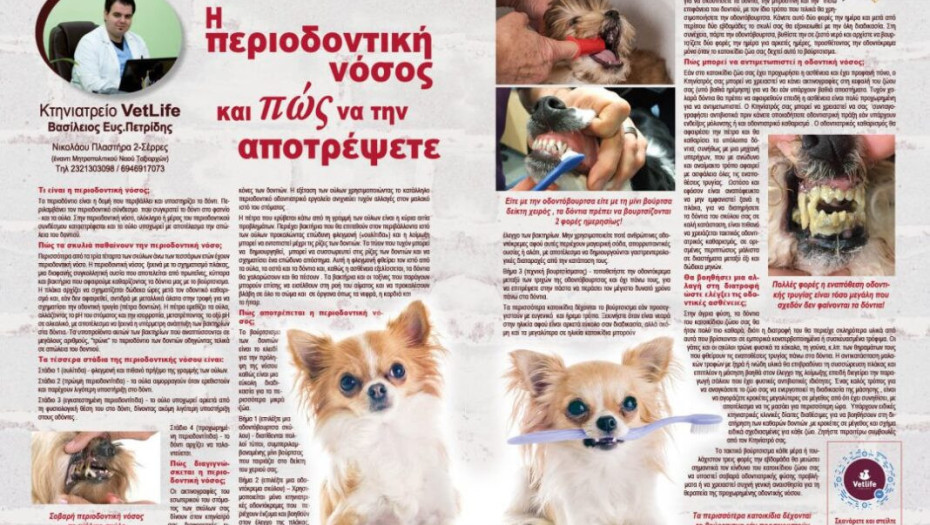 Βασίλης Πετρίδης: Η περιοδοντική νόσος και πώς να την αποτρέψετε!