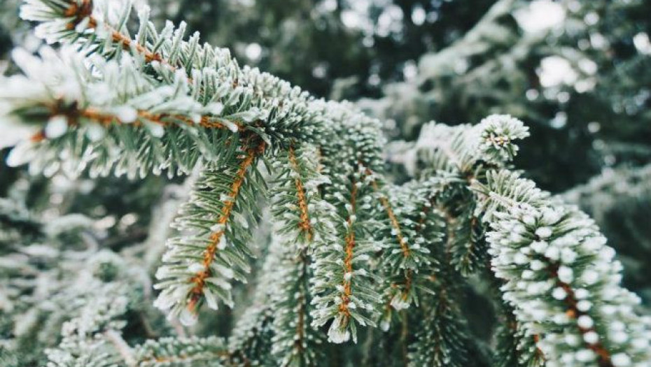Όλα αλλάζουν μέσα σε ένα χρόνο∙ ακόμα κι οι άνθρωποι που αγαπάς