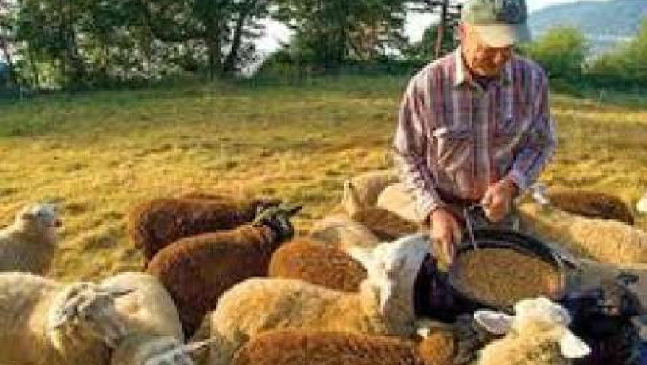 Υποχρεωτική η δήλωση στοιχείων παραγωγής και διακίνησης ζωοτροφών