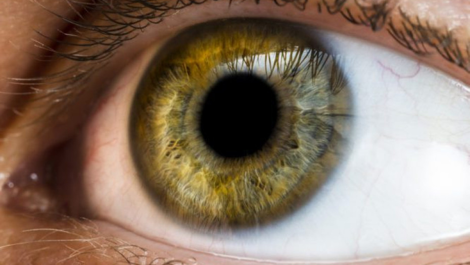 Πιο ευφυείς όσοι έχουν… αυτό στα μάτια τους