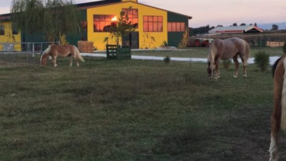 «διασκεδάΖΟΥΜΕ την Αποκριά»  Για το ΚΕΘΙΣ Σερρών