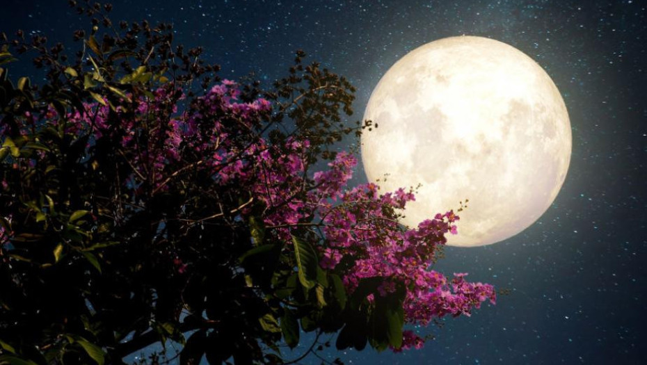 Βραδιά πανσελήνου στο Σταθμό Αγγίστας