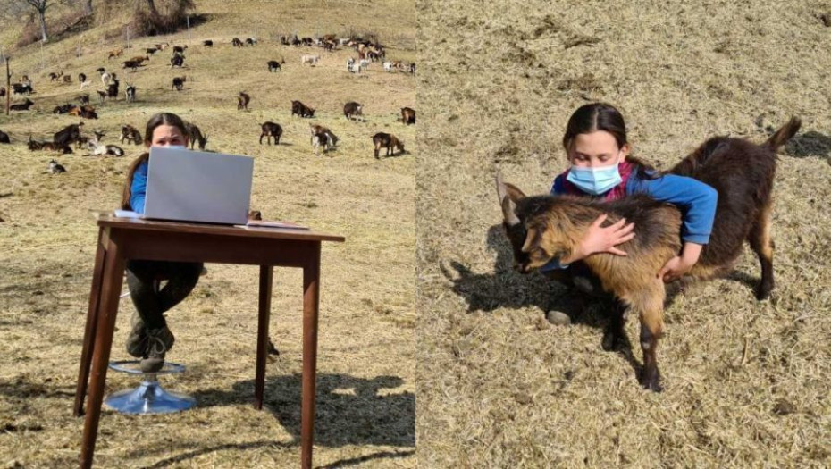 10χρονη βοσκοπούλα κάνει τηλεκπαίδευση στα βουνά λόγω κορωνοϊού