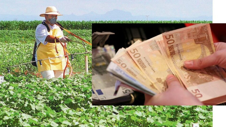 Τιμές ρεκόρ για τα αγροτικά προϊόντα: Σε σκληρό σιτάρι, καλαμπόκι και βαμβάκι