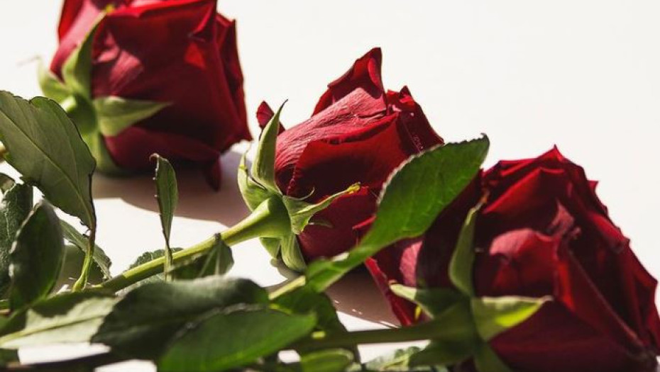 Είναι επίσημο: Αυτός είναι ο νέος The Bachelor