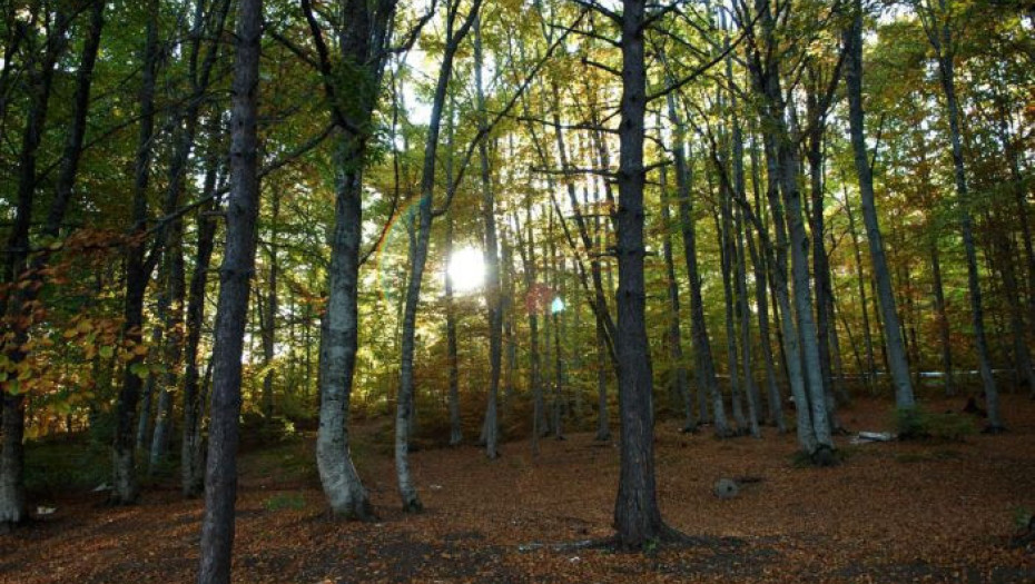 Από Τσαβλίδη, Σαββίδη επιστολή στον Πρωθυπουργό, για το λατομείο στο Λαϊλιά!