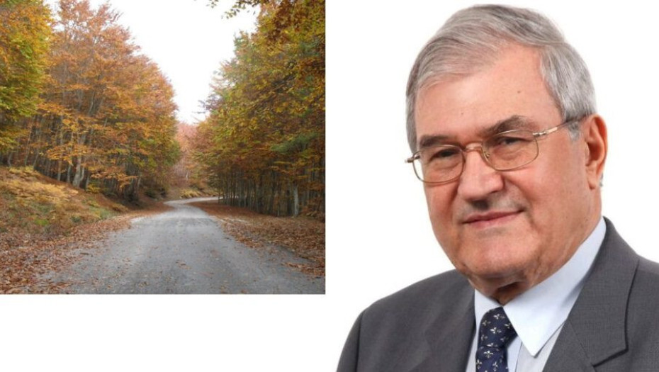 Πασχάλης Λογαρνές Λατομείο στο Δάσος Λαϊλιά – Μια ιστορία επαναλαμβάνεται