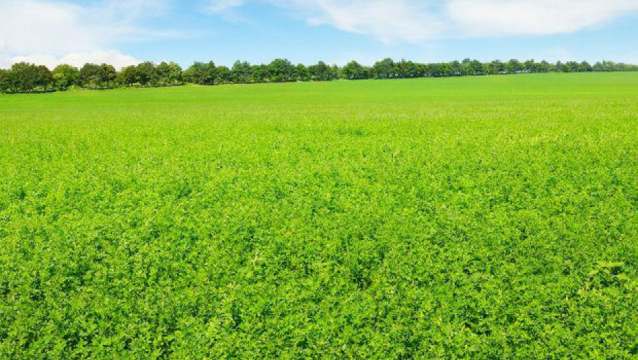 Στο πλαίσιο της καλής συνεργασίας με τους Σερραίους παραγωγούς Η ΜΗΔΙΚΗ πληρώνει 10% παραπάνω στους παραγωγούς