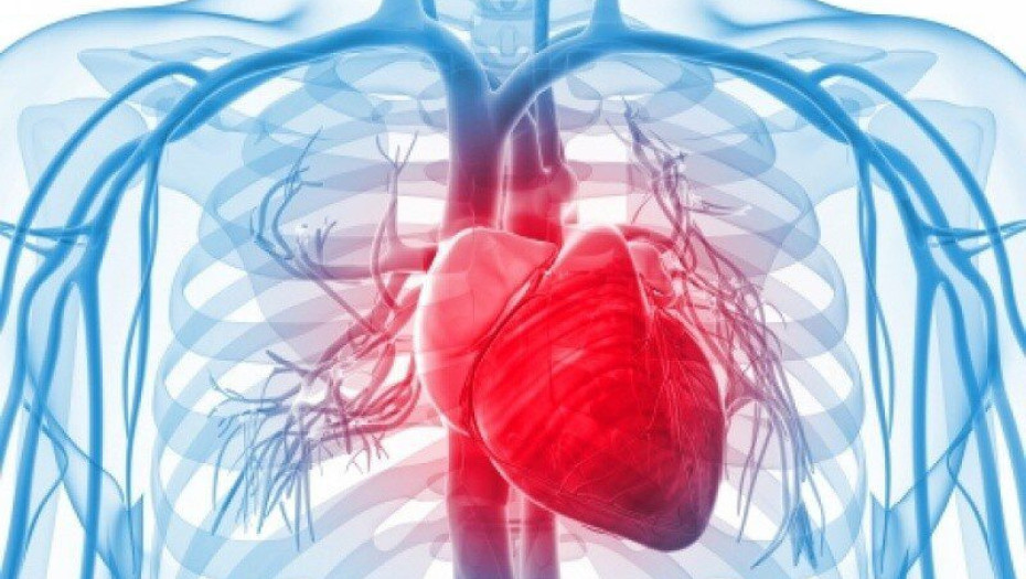 Στο Κέντρο Πρόληψης Νοσημάτων του Δήμου Σερρών: Δωρεάν έλεγχος για Ανεύρυσμα Κοιλιακής Αορτής