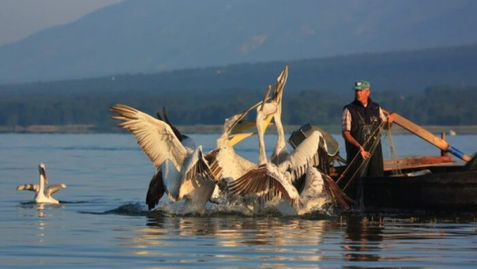 ΚΙΝΑΛ Σερρών: Το φυσικό περιβάλλον παραδίδεται στα επιχειρηματικά συμφέροντα