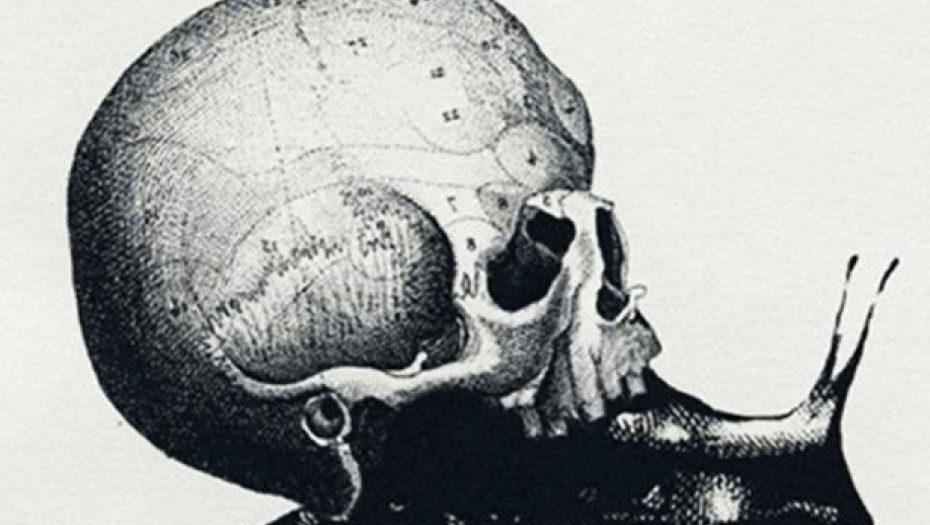 Τεστ προσωπικότητας: Το πρώτο πράγμα που βλέπετε αποκαλύπτει τον αληθινό σας εαυτό