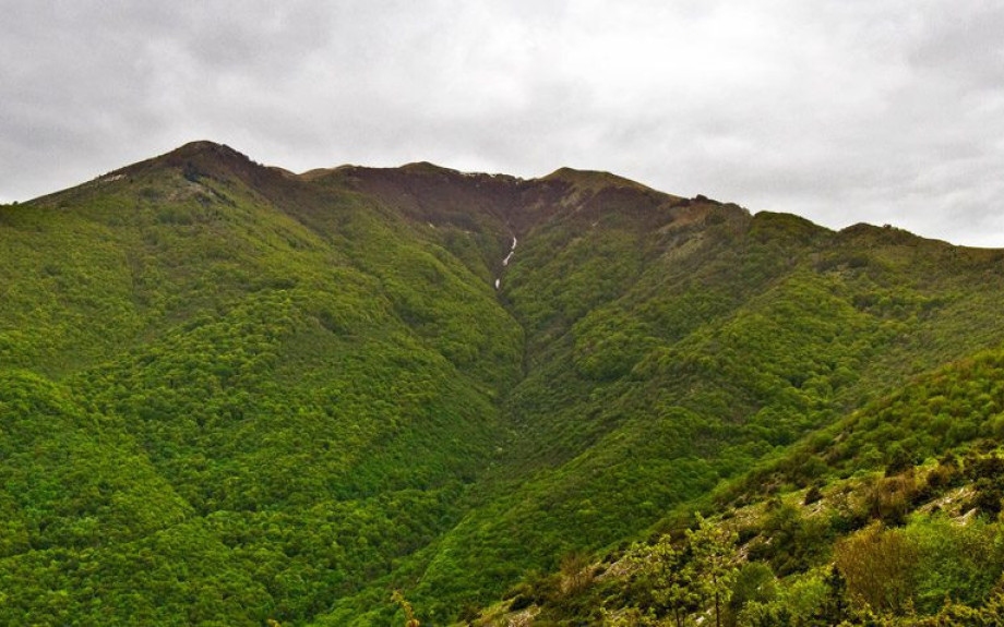 Απαλλοτριώθηκε η έκταση υπέρ του Δημοσίου στο Λαιλιά: Δεν κερδίζει τίποτα η τοπική κοινωνία;