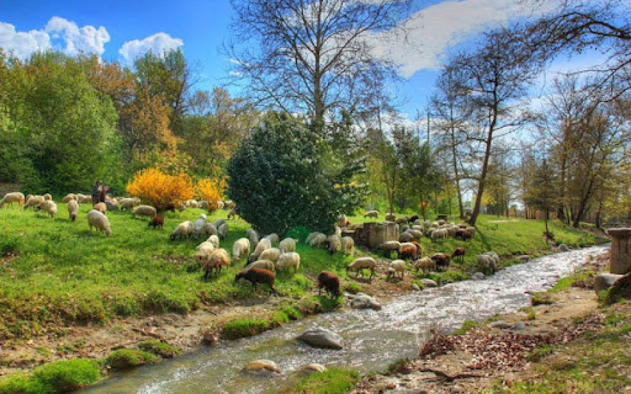 Με επιτυχία η εκδρομή του ΣΥΠΕΚΑΑΣ Σερρών στο Τσεπέλοβο Ζαγορίου