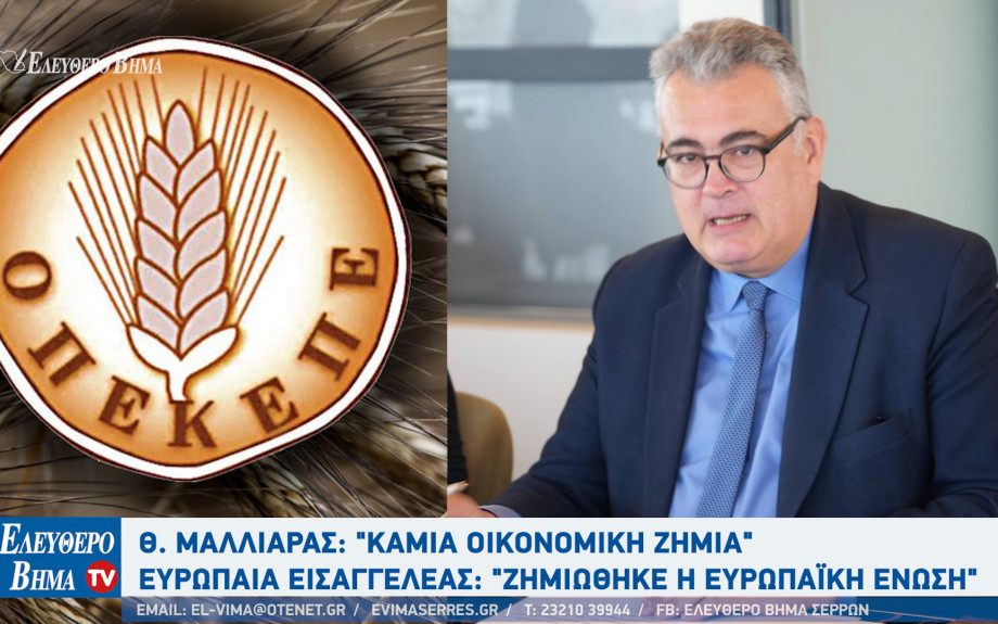 ΟΠΕΚΕΠΕ - Σέρρες: Αθανάσιος Μαλλιαράς: "Νόμιμες οι διαδικασίες" - Ευρωπαία Εισαγγελέας: " Zημιώθηκε η Ευρωπαϊκή Ένωση και το Ελληνικό Δημόσιο"