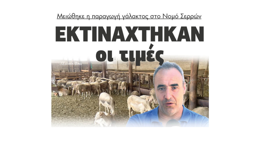 Μειώθηκε η παραγωγή γάλακτος στο Νομό Σερρών - Εκτινάχτηκαν οι τιμές