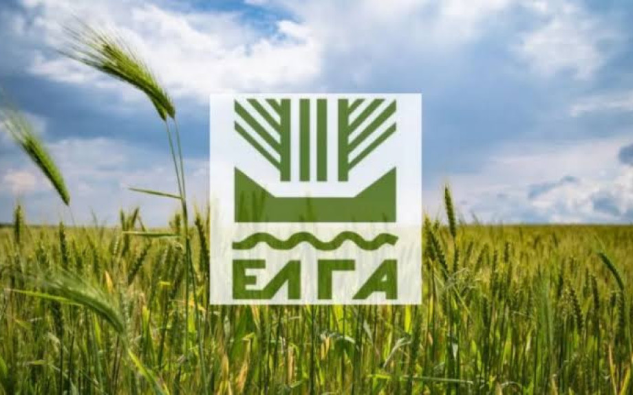 Ο ΕΛΓΑ ξεκίνησε ήδη την καταγραφή ζημιών στις πληγείσες καλλιέργειες Θεσσαλίας και Στερεάς Ελλάδας.