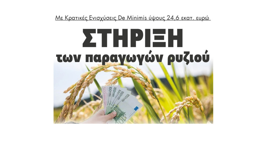 Στήριξη των παραγωγών ρυζιού με Κρατικές Ενισχύσεις De Minimis ύψους 24,6 εκατ. ευρώ