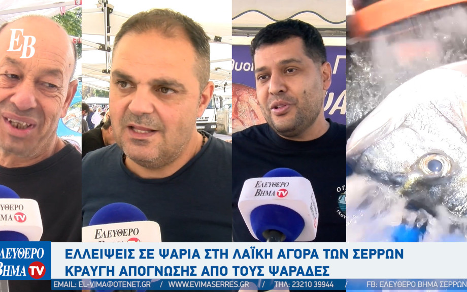 Σέρρες: Η απεργία των ψαράδων φέρνει ελλείψεις σε ψαράδικα και λαϊκή αγορά