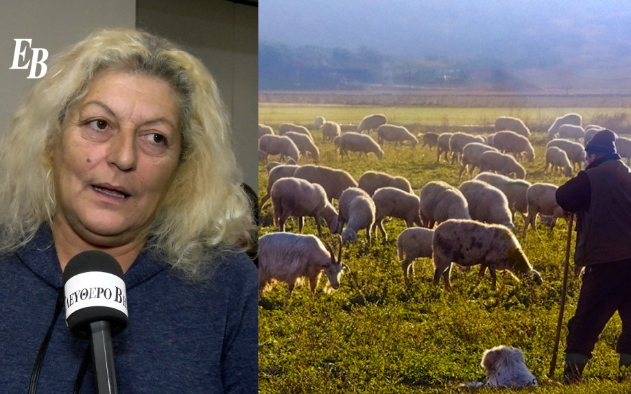 Ελπίδα Σιδηροπούλου: "Τεράστια κρίση καταστροφής της ελληνικής κτηνοτροφίας και περιφέρειας"