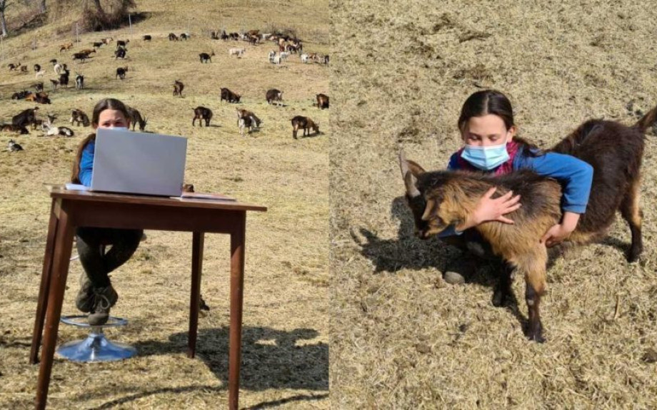10χρονη βοσκοπούλα κάνει τηλεκπαίδευση στα βουνά λόγω κορωνοϊού