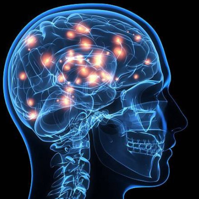 Ο πολύπλοκος ανθρώπινος εγκέφαλος – Η συγκίνηση είναι η ενέργεια που κινεί τον κόσμο.