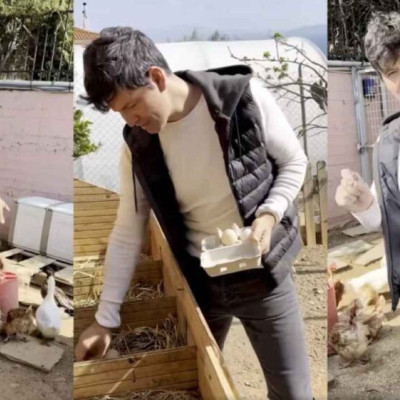 Μαζεύει αβγά από το κοτέτσι του: Ο αγρότης Σάκης Ρουβάς μας δείχνει πως δουλεύει στη φάρμα του σπιτιού του (ΒΙΝΤΕΟ)