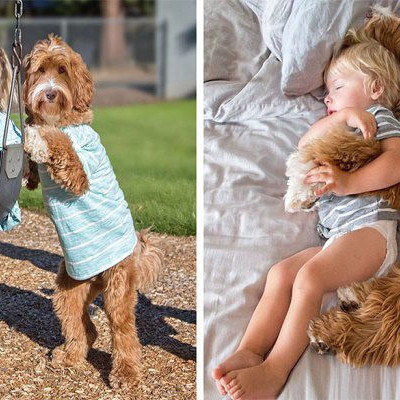 Μια συγκινητική φιλία ανάμεσα σε ένα αγοράκι και τον σκύλο του