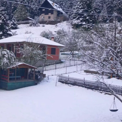 Τρίκαλα: Πυκνή χιονόπτωση στο Περτούλι – Τα πάντα ντύθηκαν στα λευκά