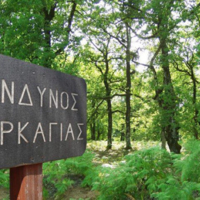 Κίνδυνος πυρκαγιών στη πόλη και στο Νομό Σερρών