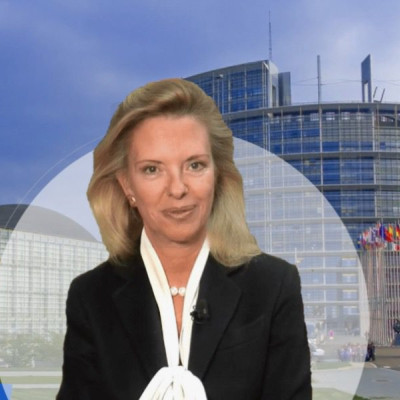 Την ασφάλεια των πλοίων στα Στενά του Ορμούζ ζητά με ερώτηση η Βόζεμπεργκ