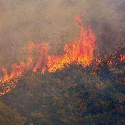 Υψηλός κίνδυνος εκδήλωσης πυρκαγιάς για αύριο στις Σέρρες